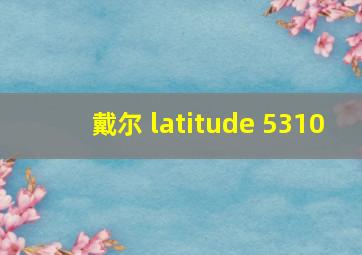 戴尔 latitude 5310